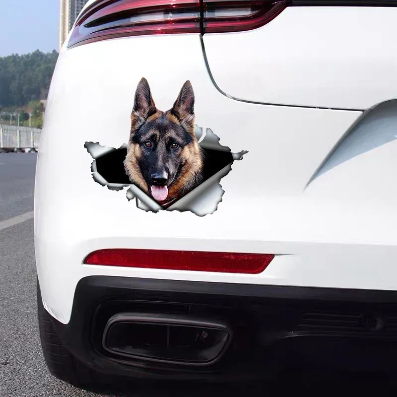 Autocollant de voiture auto-ad - Car Accessories Nz avis et prix